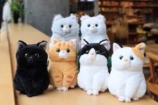 ブルーブルーエジャパン株式会社のプレスリリース画像2