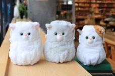 ブルーブルーエジャパン株式会社のプレスリリース画像11