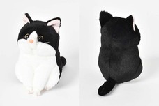 ブルーブルーエジャパン株式会社のプレスリリース画像5