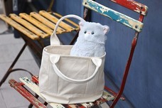 ブルーブルーエジャパン株式会社のプレスリリース画像15