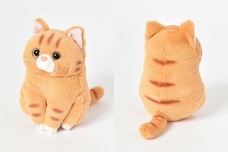 ブルーブルーエジャパン株式会社のプレスリリース画像4