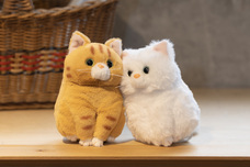 ブルーブルーエジャパン株式会社のプレスリリース画像17