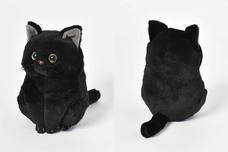 ブルーブルーエジャパン株式会社のプレスリリース画像3