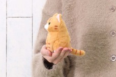 ブルーブルーエジャパン株式会社のプレスリリース画像10