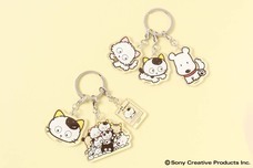 ブルーブルーエジャパン株式会社のプレスリリース画像12