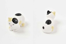 ブルーブルーエジャパン株式会社のプレスリリース画像10