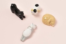 ブルーブルーエジャパン株式会社のプレスリリース画像9