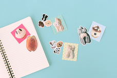 ブルーブルーエジャパン株式会社のプレスリリース画像9