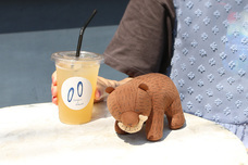 ブルーブルーエジャパン株式会社のプレスリリース画像7