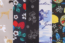 ブルーブルーエジャパン株式会社のプレスリリース画像15