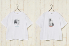 ブルーブルーエジャパン株式会社のプレスリリース画像3