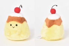 ブルーブルーエジャパン株式会社のプレスリリース画像6