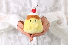 ブルーブルーエジャパン株式会社のプレスリリース画像8