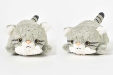 ブルーブルーエジャパン株式会社のプレスリリース画像2