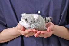 ブルーブルーエジャパン株式会社のプレスリリース画像6