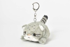 ブルーブルーエジャパン株式会社のプレスリリース画像7