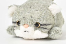 ブルーブルーエジャパン株式会社のプレスリリース画像3