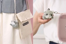 ブルーブルーエジャパン株式会社のプレスリリース画像8