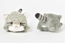 ブルーブルーエジャパン株式会社のプレスリリース画像10