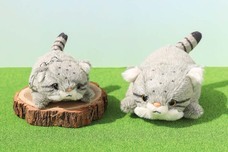 ブルーブルーエジャパン株式会社のプレスリリース画像1