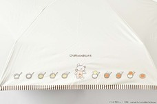 ブルーブルーエジャパン株式会社のプレスリリース画像9