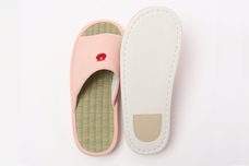 ブルーブルーエジャパン株式会社のプレスリリース画像8