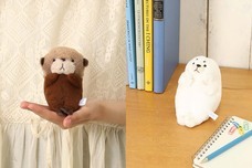 ブルーブルーエジャパン株式会社のプレスリリース画像9