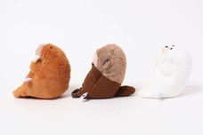 ブルーブルーエジャパン株式会社のプレスリリース画像10