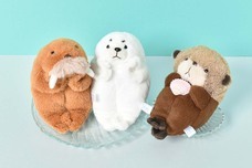 ブルーブルーエジャパン株式会社のプレスリリース画像1