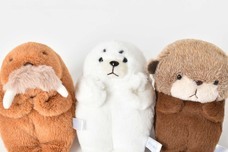 ブルーブルーエジャパン株式会社のプレスリリース画像11