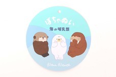 ブルーブルーエジャパン株式会社のプレスリリース画像8