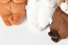 ブルーブルーエジャパン株式会社のプレスリリース画像7