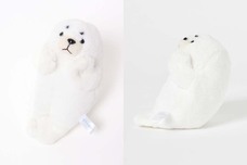 ブルーブルーエジャパン株式会社のプレスリリース画像3