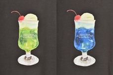 ブルーブルーエジャパン株式会社のプレスリリース画像13