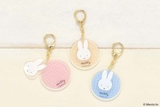 ブルーブルーエジャパン株式会社のプレスリリース画像17