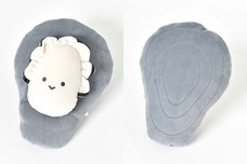 ブルーブルーエジャパン株式会社のプレスリリース画像2