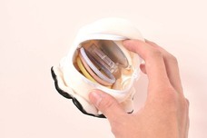 ブルーブルーエジャパン株式会社のプレスリリース画像8