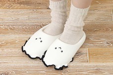 ブルーブルーエジャパン株式会社のプレスリリース画像6