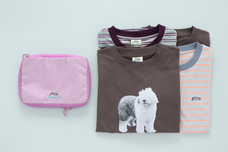 ブルーブルーエジャパン株式会社のプレスリリース画像3