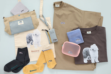 ブルーブルーエジャパン株式会社のプレスリリース画像9