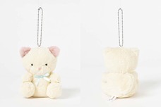 ブルーブルーエジャパン株式会社のプレスリリース画像6