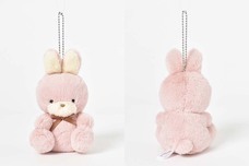 ブルーブルーエジャパン株式会社のプレスリリース画像4