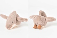 ブルーブルーエジャパン株式会社のプレスリリース画像5