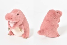 ブルーブルーエジャパン株式会社のプレスリリース画像2