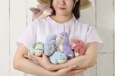 ブルーブルーエジャパン株式会社のプレスリリース画像11