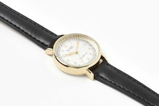 ブルーブルーエジャパン株式会社のプレスリリース画像3