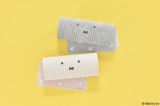 ブルーブルーエジャパン株式会社のプレスリリース画像15