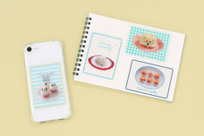 ブルーブルーエジャパン株式会社のプレスリリース画像15