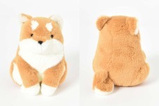 ブルーブルーエジャパン株式会社のプレスリリース画像5