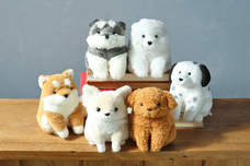 ブルーブルーエジャパン株式会社のプレスリリース画像2